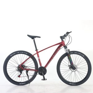 29 inch 21 speed Aluminum alloy DUKE MTB loicycle