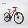 Dream 27.5 inch 10 speed spoke wheel linear disc brake LTWOO variable speed mountain bike (1)