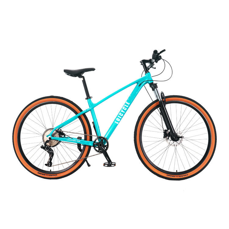 Loicycle 29 Inch 10 Speed Aluminum Alloy Halo MTB