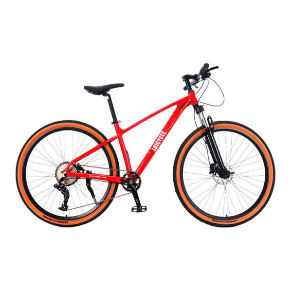 Loicycle 29 Inch 10 Speed Aluminum Alloy Halo MTB