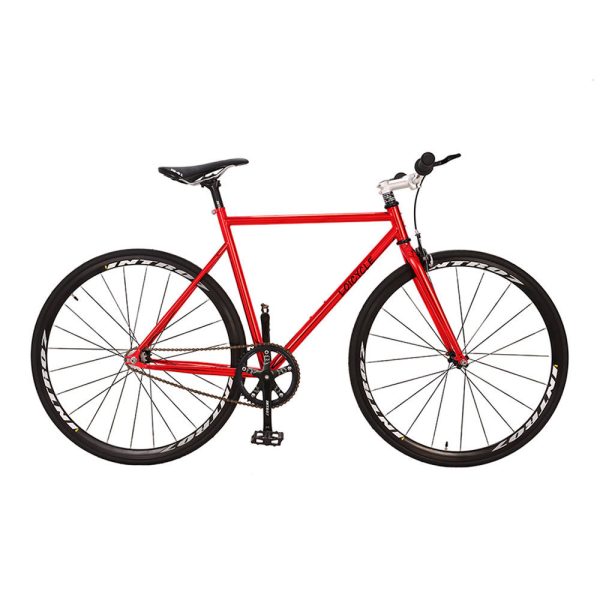 Loicycle Chromium molybdenum steel 700c Fixed Gear bike