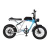 Loicycle 20 inch 7speed A6061 Alloy 350W Fat Tire Electric Bike