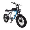 Loicycle 20 inch 7speed A6061 Alloy 350W Fat Tire Electric Bikes