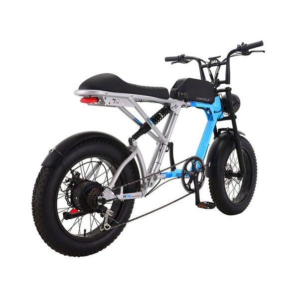 Loicycle 20 inch 7speed A6061 Alloy 350W Fat Tire Electric Bikes