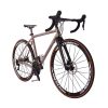 loicycle 22 speed road bike