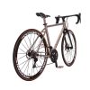 loicycle 22 speed road bike