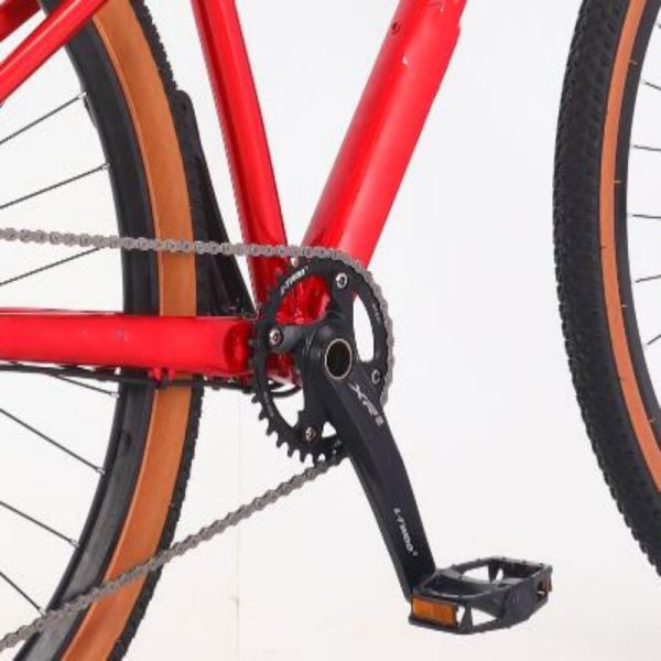 Red 29 Inch 10 Speed Aluminum Alloy Mountain Bicycle