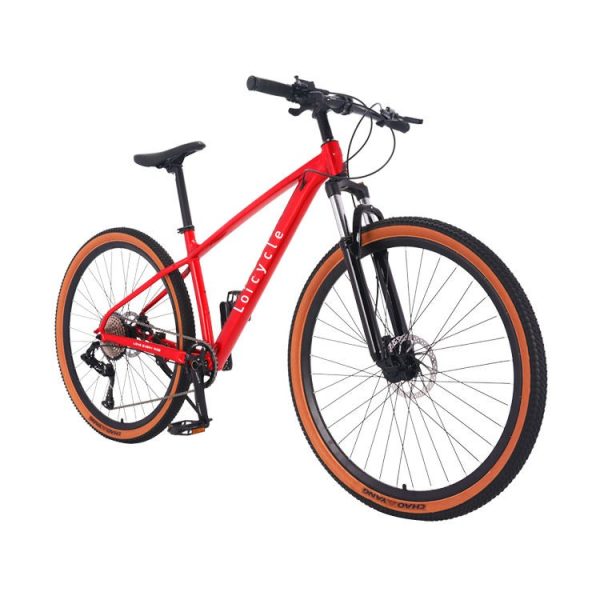 loicycle 29 inch 10 speed mountain bike