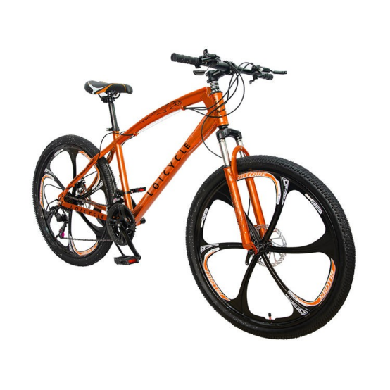 loicycle mountain bike