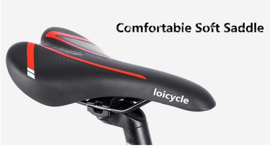 loicycle seat