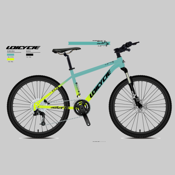 loicycle MTB