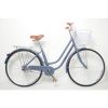 loicycle city bikes