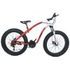 LOICYCLE fat tire mountain bike