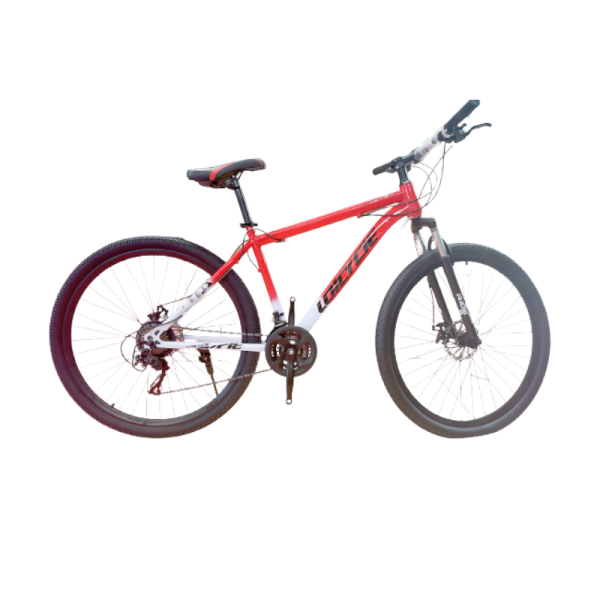 LOICYCLE mountain bike