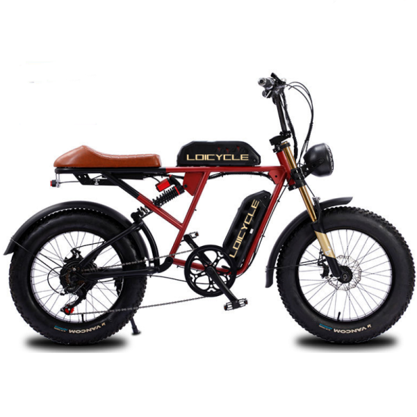 LOICYCLE E bike