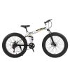 loicycle fat tire bike