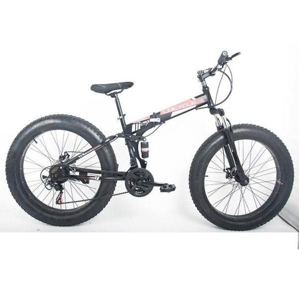 loicycle fat tire bike