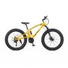 loicycle fat tire bike