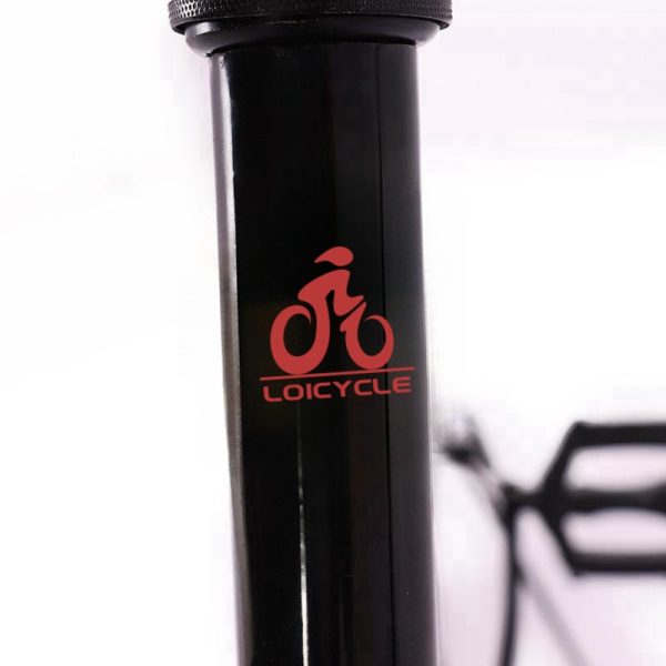 loicycle MTB