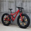 Loicycle fat tire bike