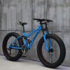 Loicycle fat tire bike