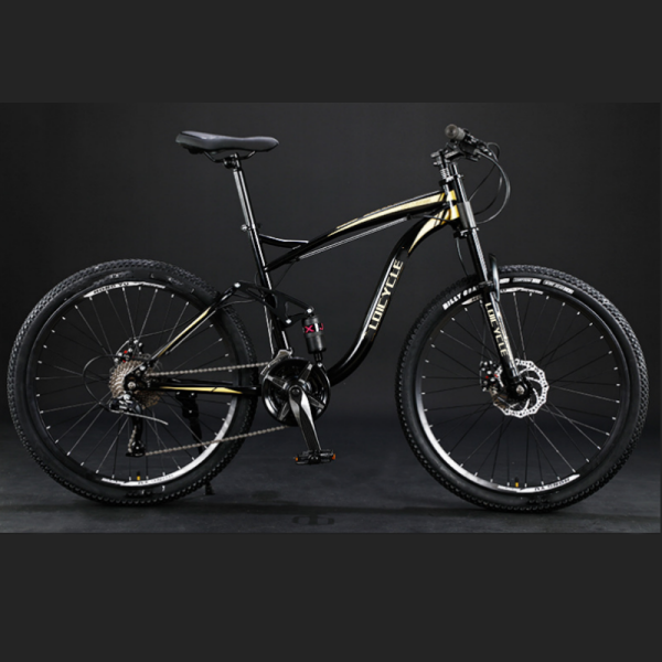 loicycle mountain bike