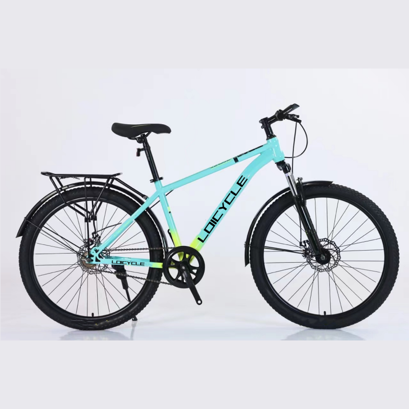 loicycle mountain bike